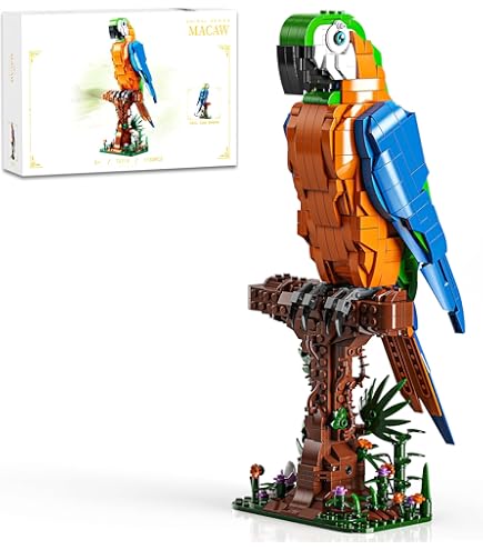 Amazon.com: JEKCA Green Cheek Conure 01S-M02 | Parrot Plastic